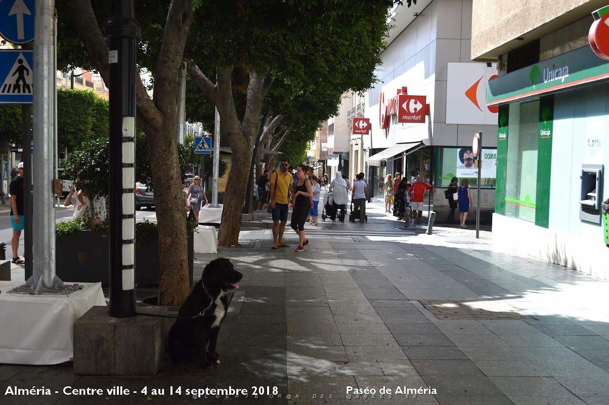 20 ALMERIA CENTRE VILLE (27).JPG